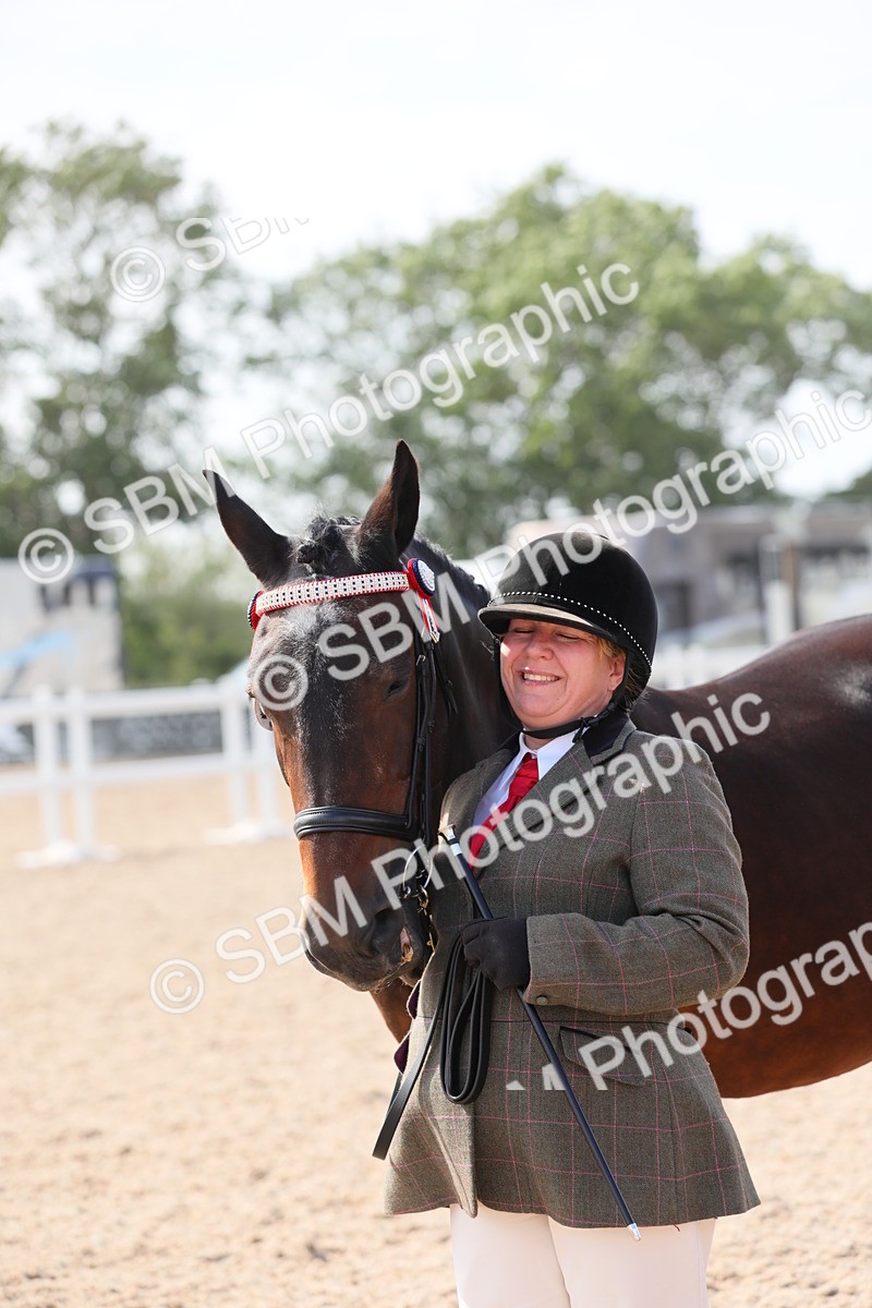 SBM_15770 - Class 312 IH Competition Horse/Pony