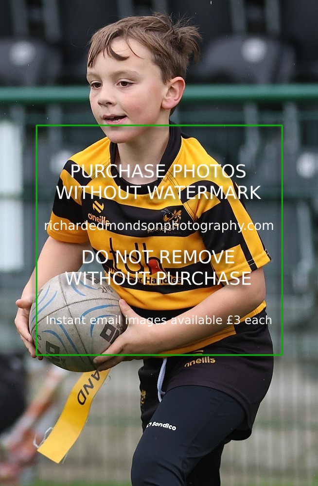 533A9295 - Kendal Rugby Under 8's