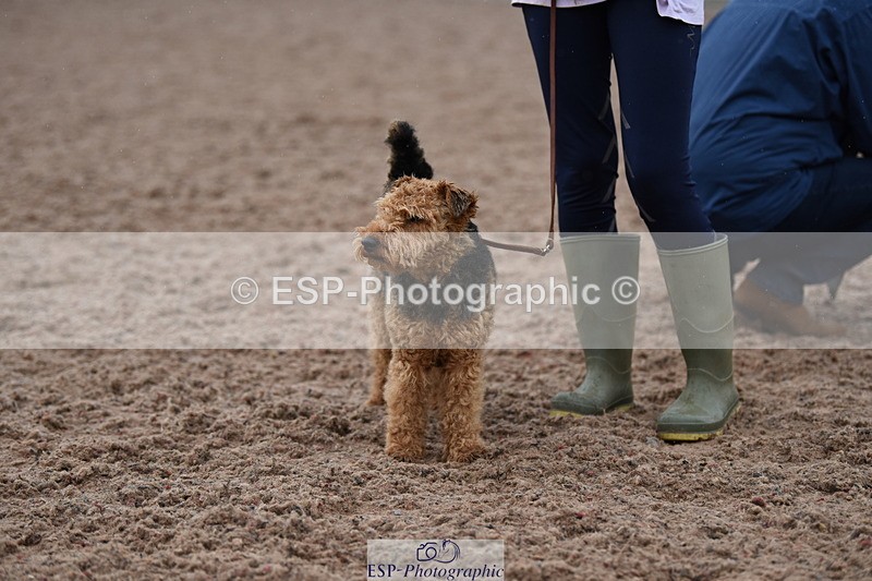 240518A-125946-01223 - Cls 6 Best Veteran