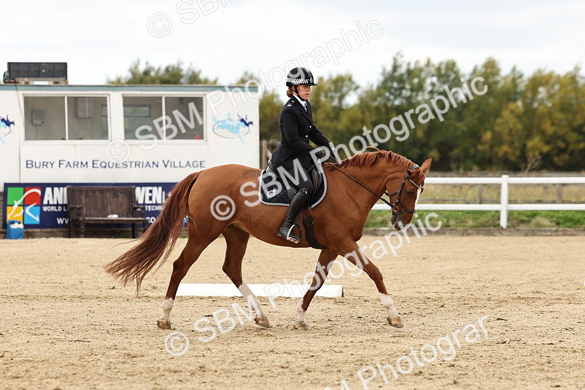 SBM_004570 - Class 69 - Novice 2
