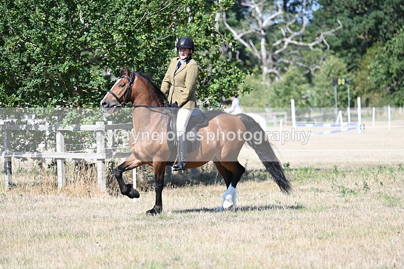 WJ7_3755 - Class 9 Mountain & Moorland Ridden
