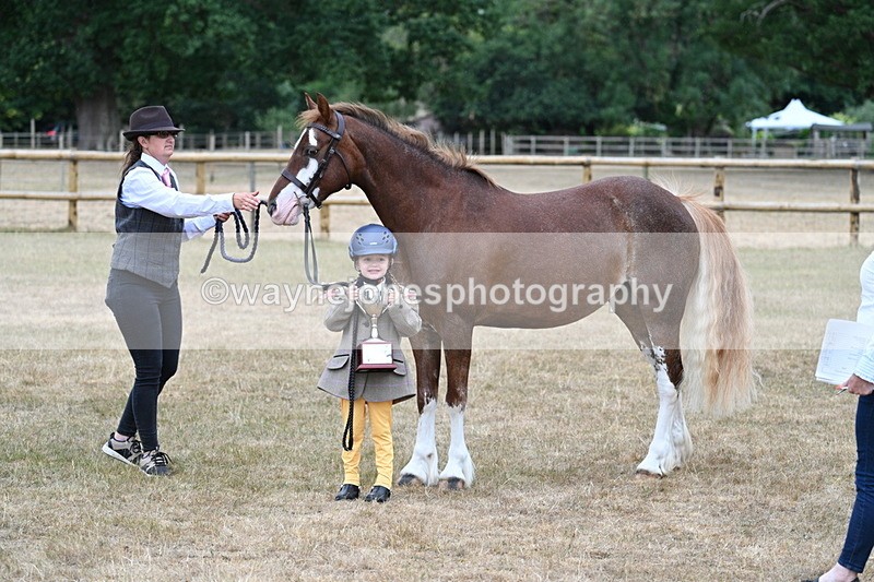 WJ7_9372 - Prettiest Mare Champs