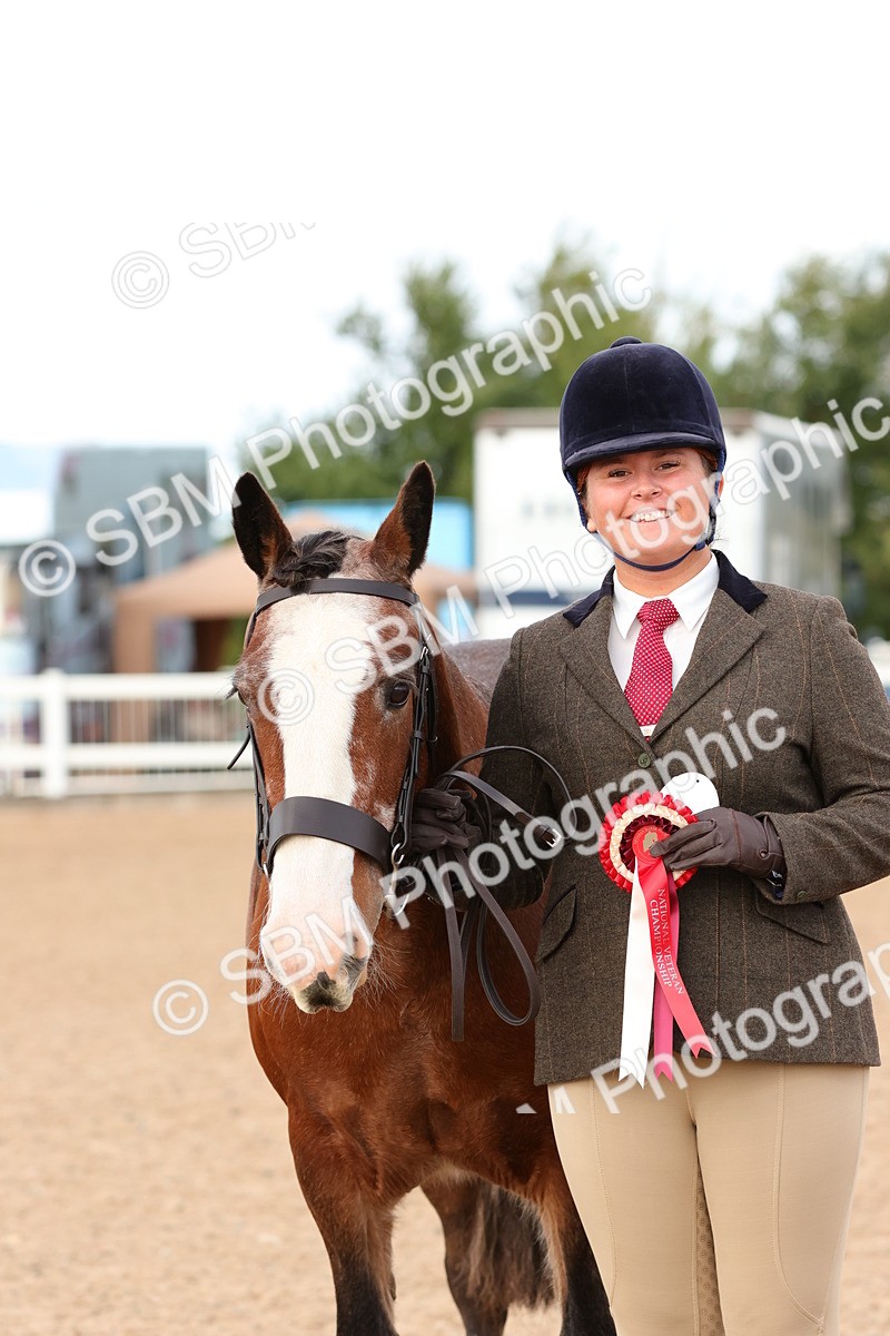 SBM_10340 - Class 206 - IH Non Show Type Pony
