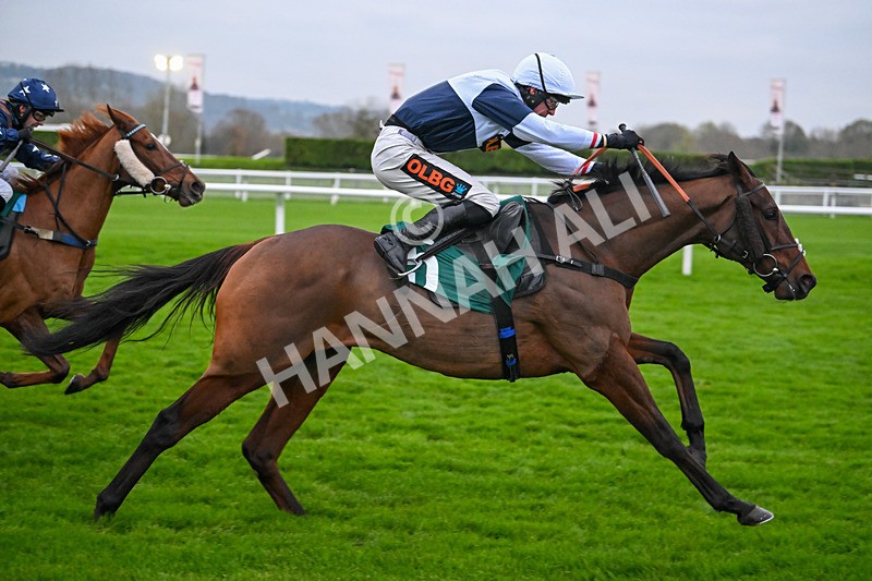 151124-Race 6-Balhambar-8926 - Race 6