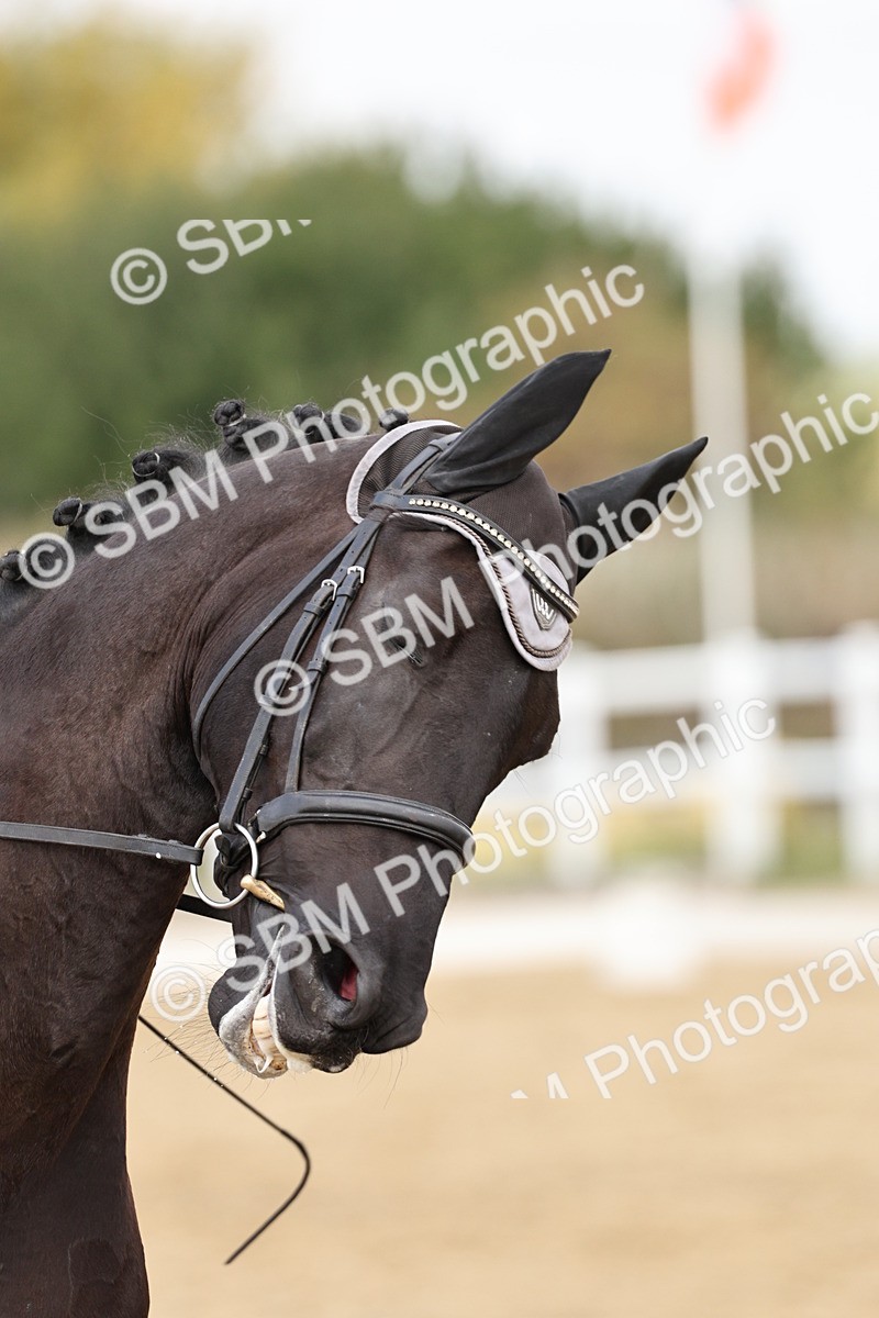 SBM_018280 - Class 16 - Novice 5 - 11.12-12.01