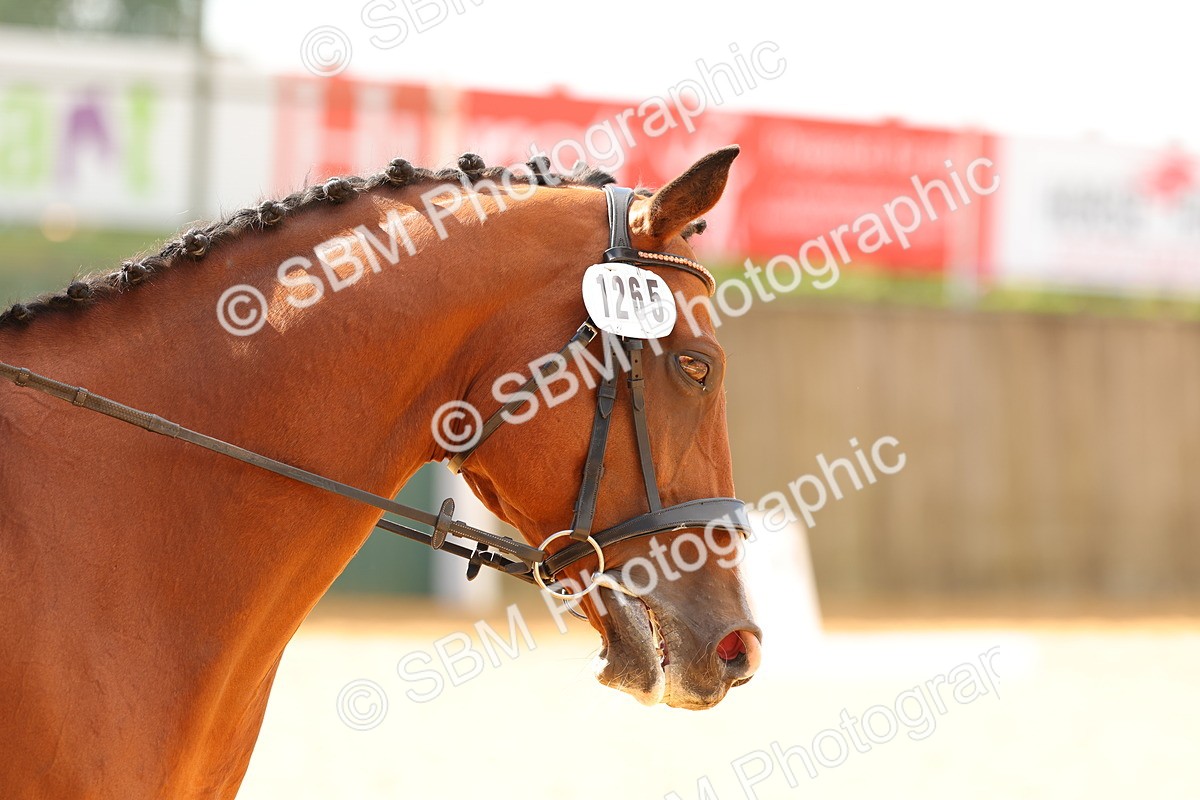 SBM_43860 - D6 - Small Tour Championship - Intro C