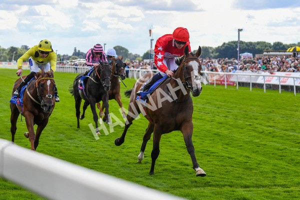 260823-Race 1-Spirit Dancer-0129 - Race 1 Sky Bet And Symphony Group Strensall Stakes
