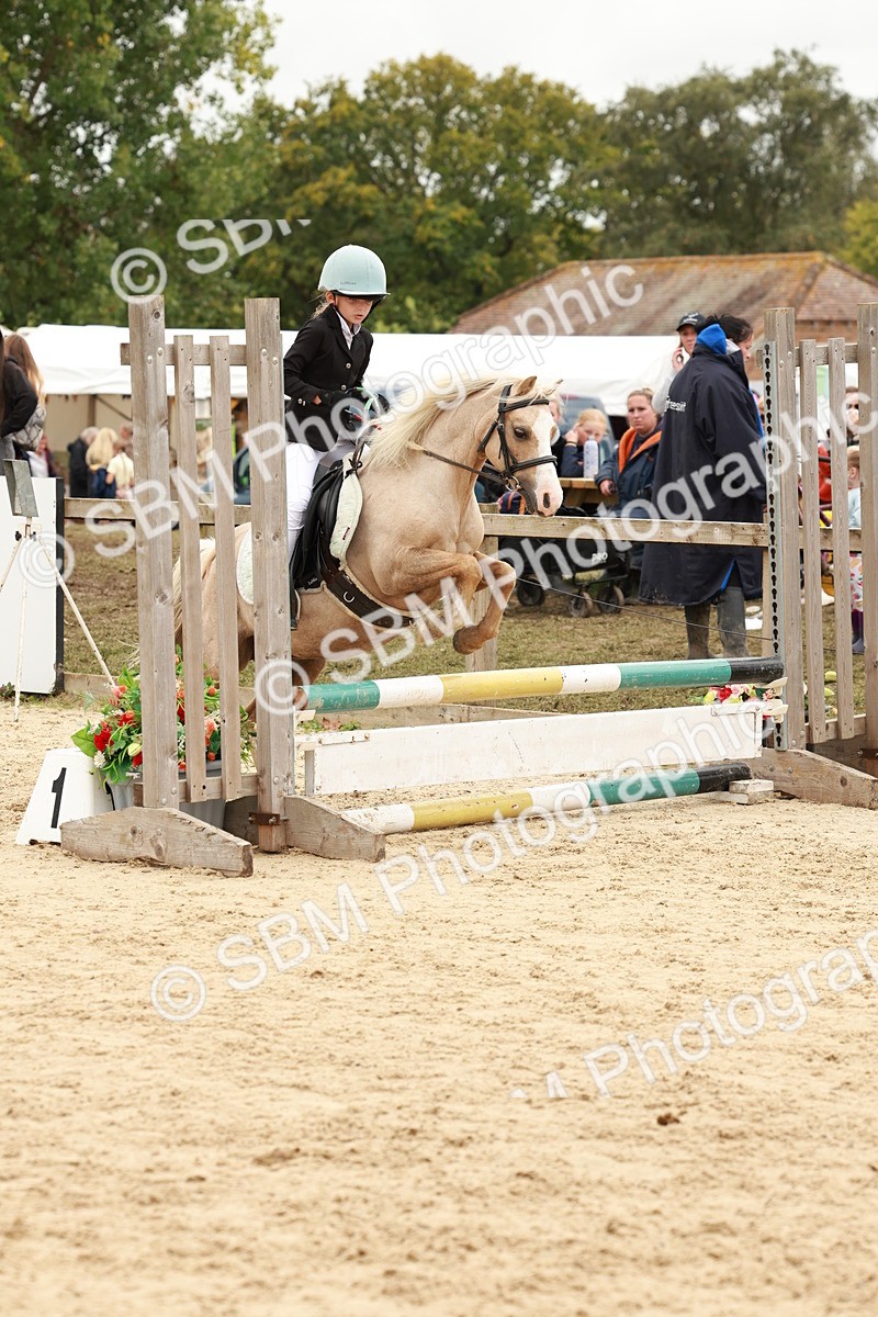 SBM_63808 - J12 - Junior Pony 55cm Championship