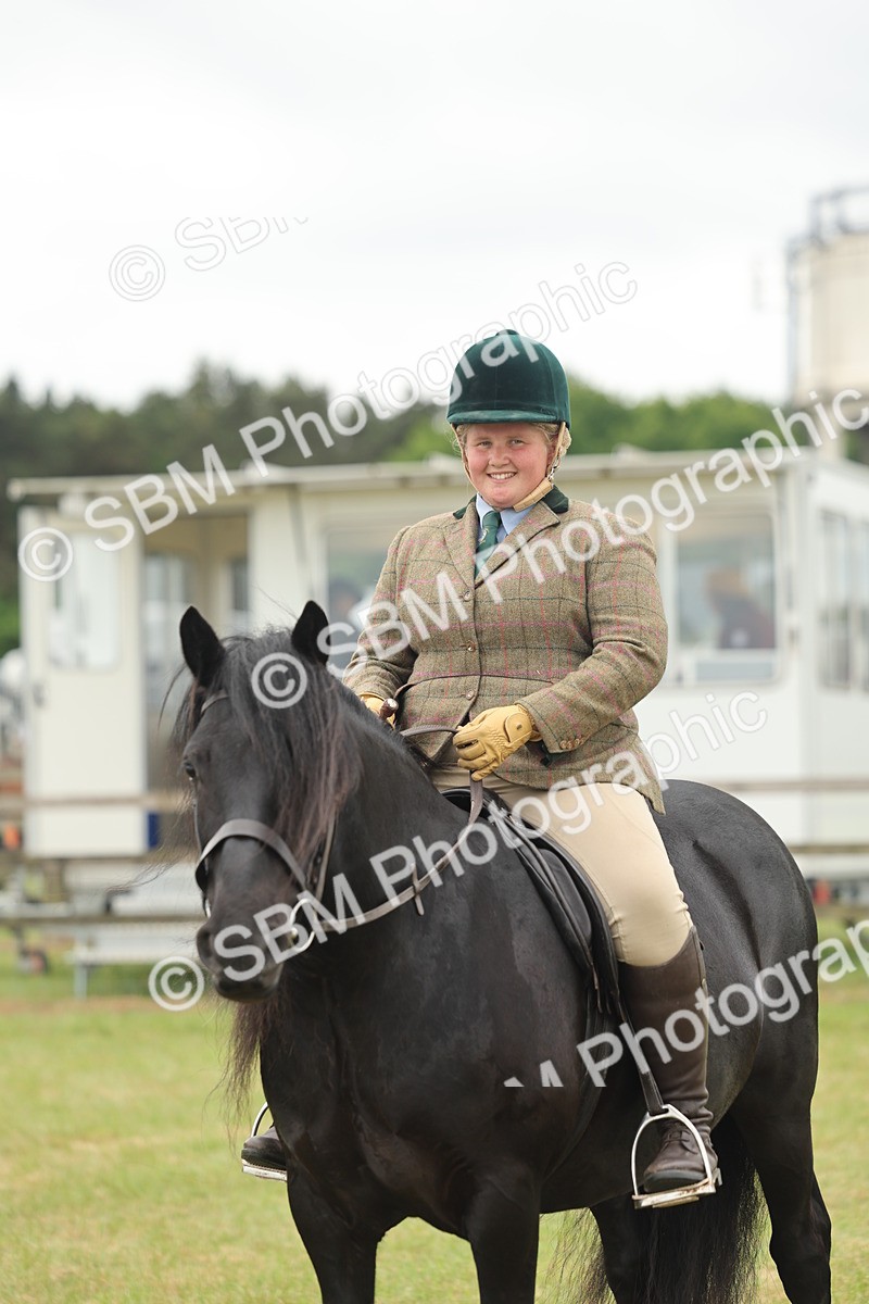 SBM_09026 - Class 78-80 - Ridden M&M Non Welsh Ponies