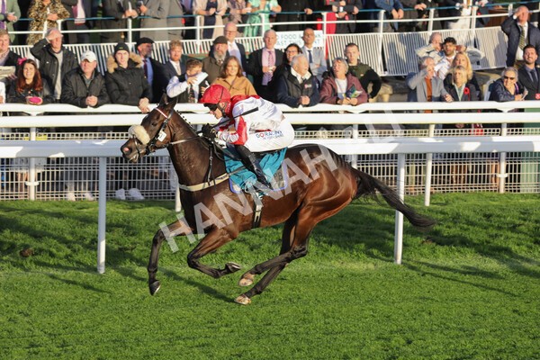 yr07102022r7-25 - Race 7 5.35pm IRE Incentive, It Pays To Buy Irish Stakes