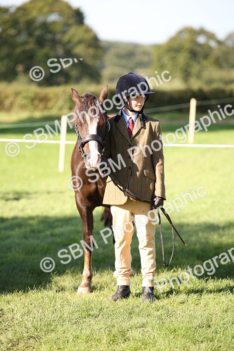 SBM_36678 - S10 - Best In Hand Horse & Pony