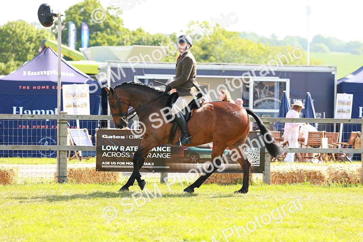 SBM_12042 - Class 66-69 - RIHS Ridden Hunters Inc Small Hunter