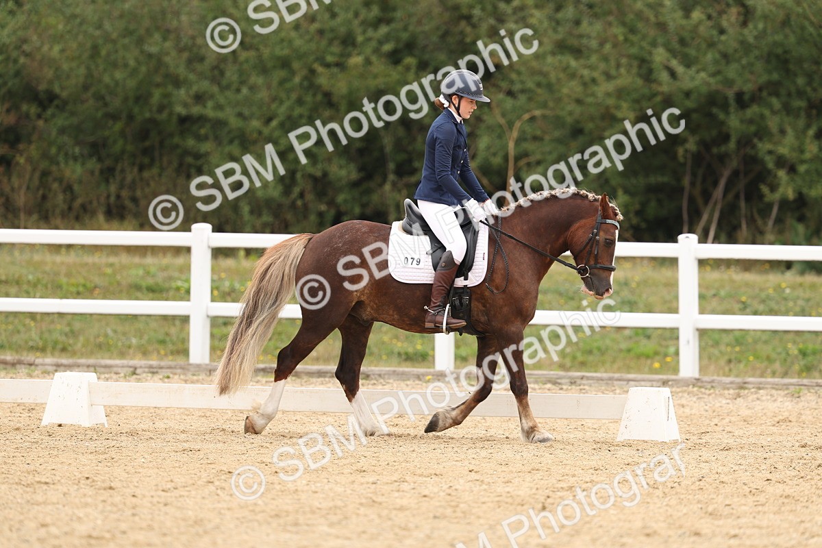 SBM_01036 - Class 8 - Novice 27 Champs