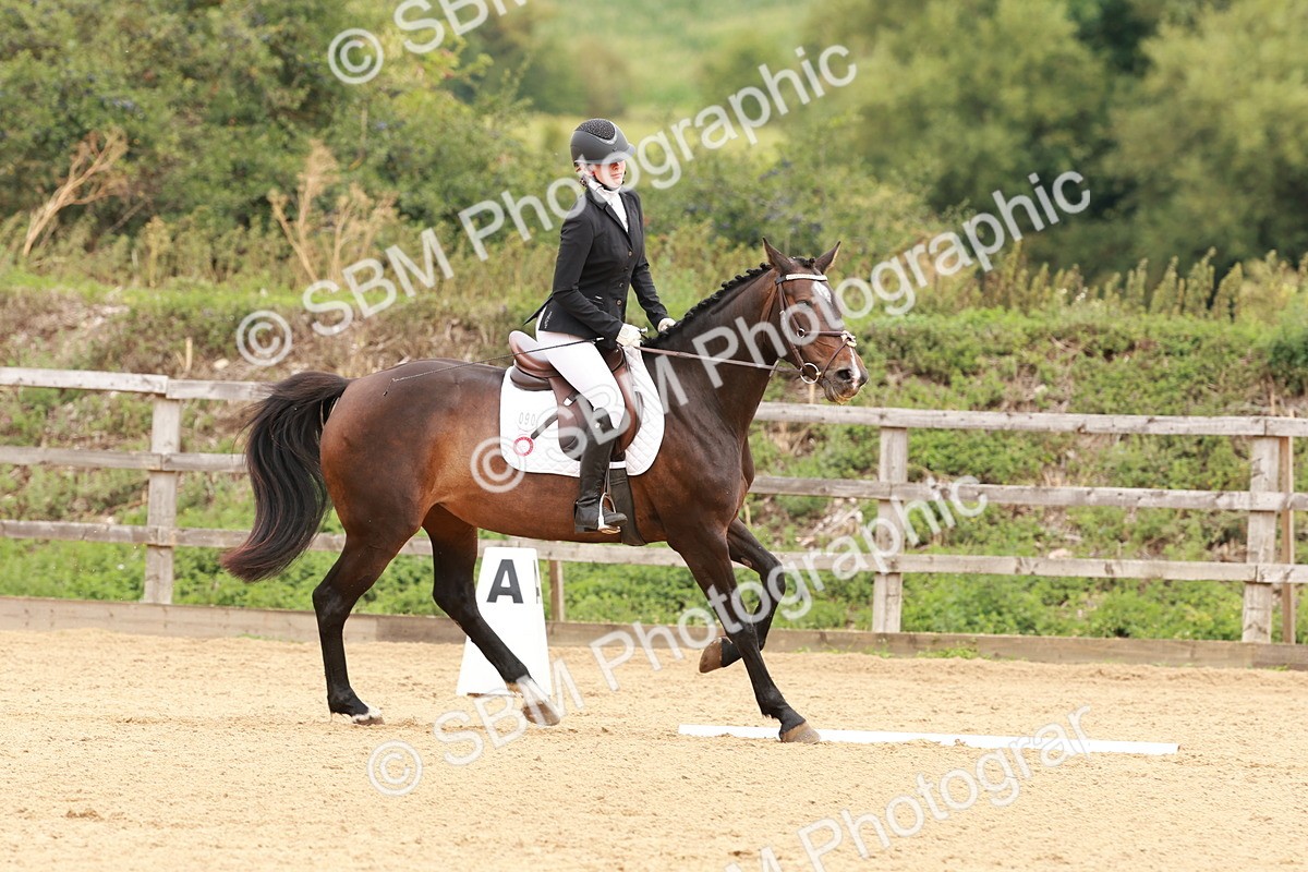 SBM_002565 - Prelim 3