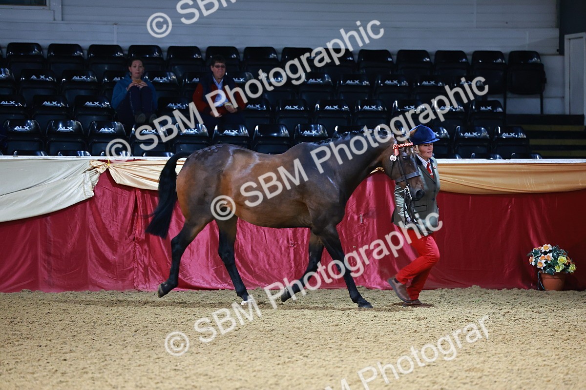 SBM_21699 - Class 901 - Supreme Final - IH  Diamond