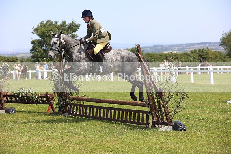 JPP_2463 - Class 21: Working Hunter 60cm