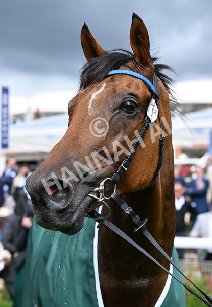 220825-092 Trawlerman - Race 2 2.25pm Weatherbys Lonsdale Cup Stakes