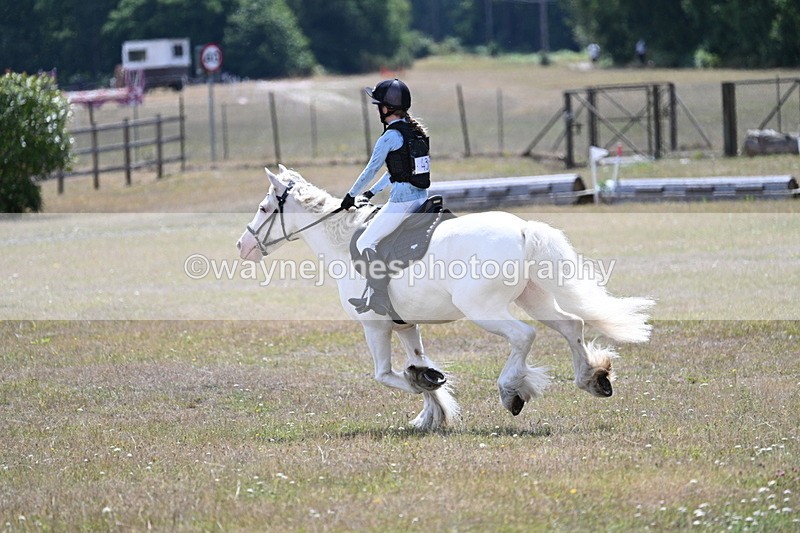 WJ7_1117 - 60cm Time 12:47 to 12:53