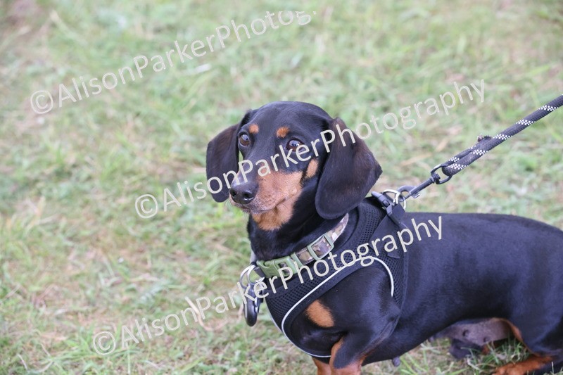 20250607-0494 - Misc