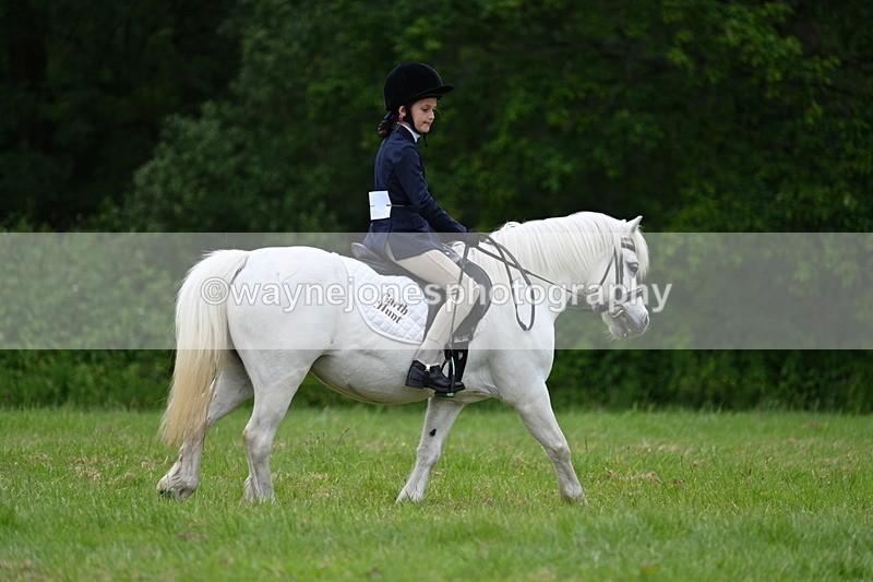 WJ7_4470 - Class 14B Prettiest Mare