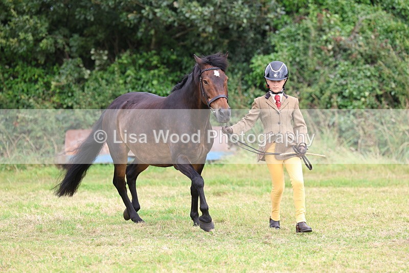 3E7A4799 - Class 16: Best Grass Kept