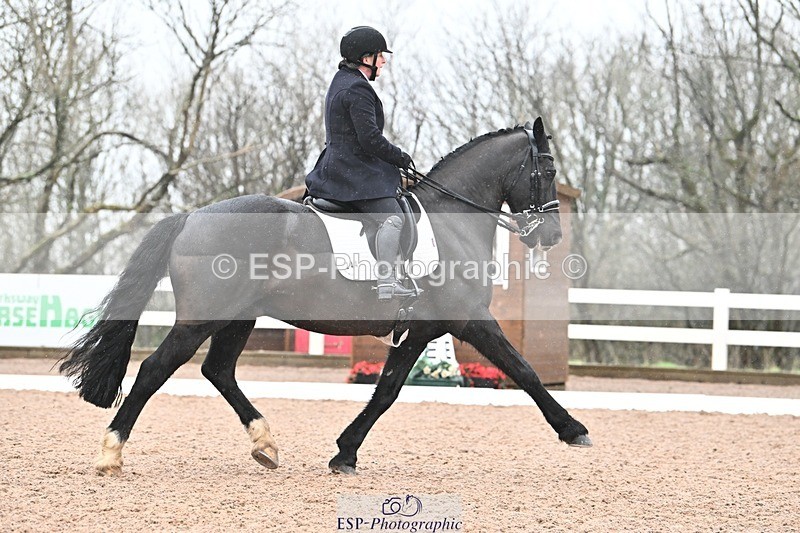 250215-103309-03047 - 244-Suzanne.Clark-Ballinamurra.Billy