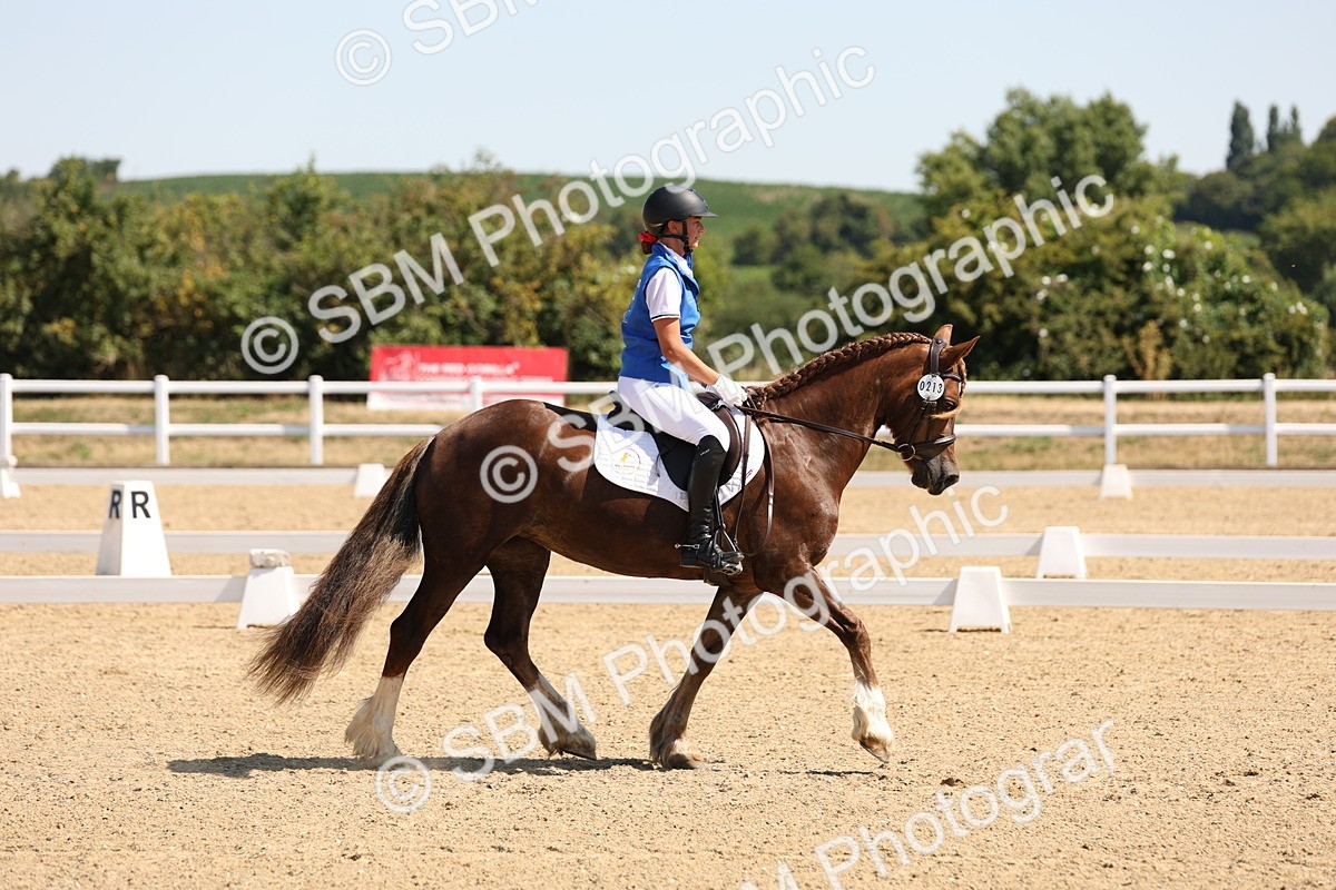 SBM_001122 - Intro 2