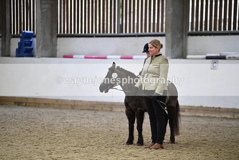 WJ5_7009 - Class 10 Childs Pony