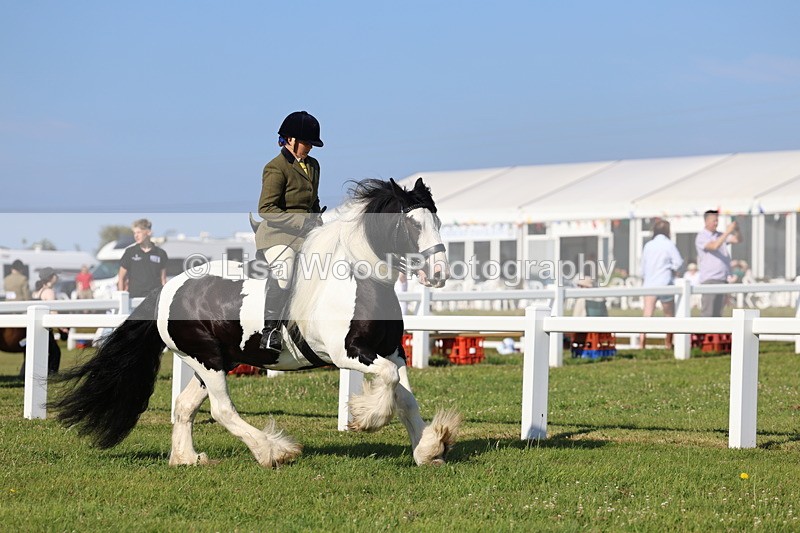 IMG_1485 - Class 30: Ridden Native/Trad Coloured Pony
