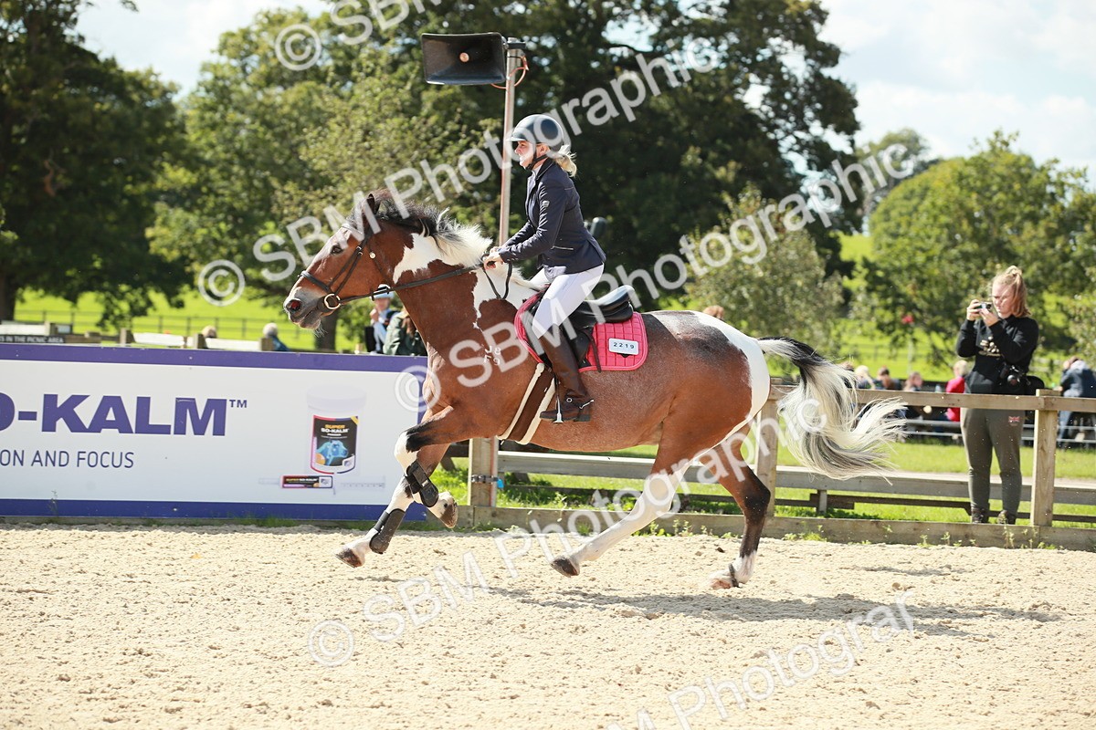 SBM_25472 - J28 Senior 60cm Championship