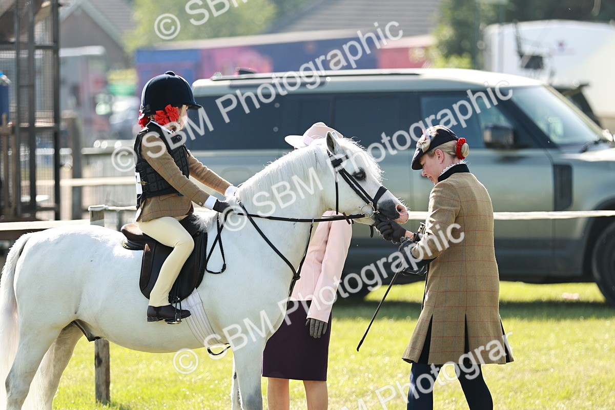 SBM_11291 - Class 106-107 - BSPS LIHS Working Sports Pony