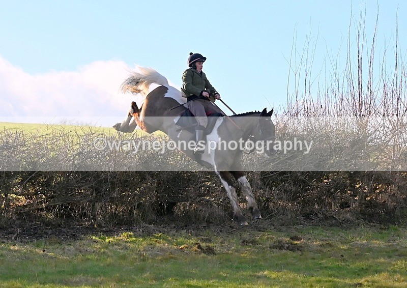 WJ6_9226 - Georgia Dobie