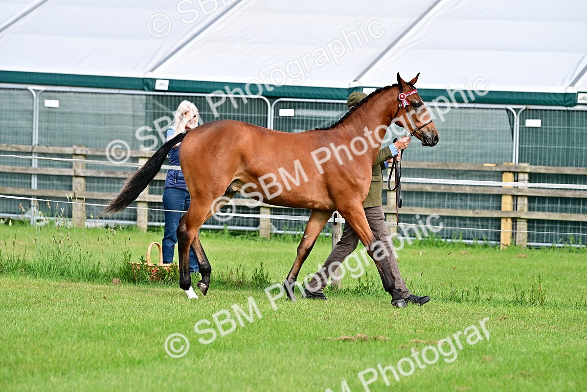 SBM_00068