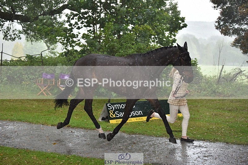 240522-151626-00219 - 366-GYPSIE_DU_LOIR-Yasmin_Ingham