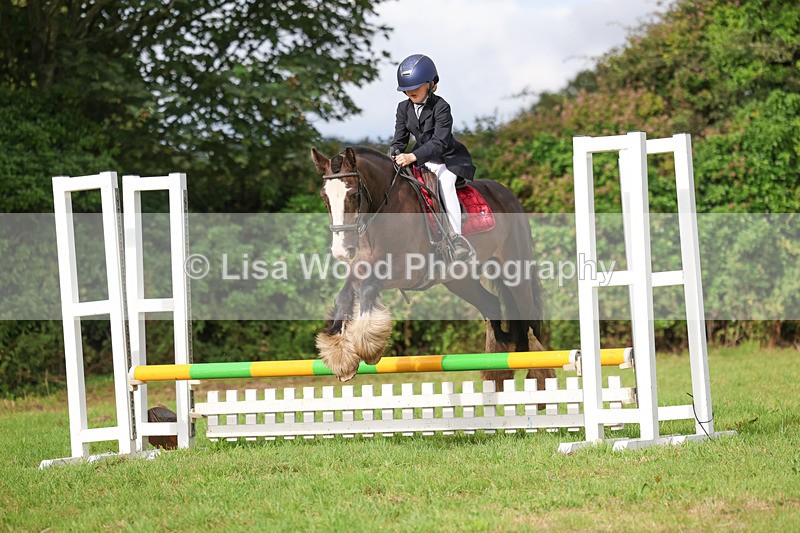 3E7A5334 - Class 1: 60cm Juniors and Seniors