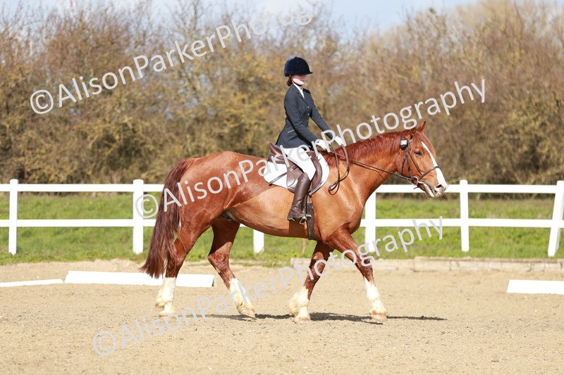 20260314-2927 - DR3 - Prelim 1