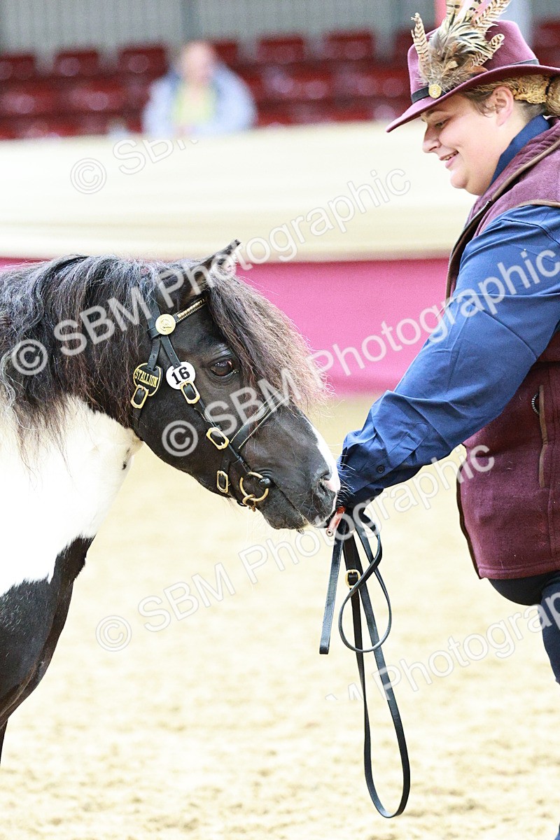 SBM_01277 - Class 3A - Area IH Pre-Vet