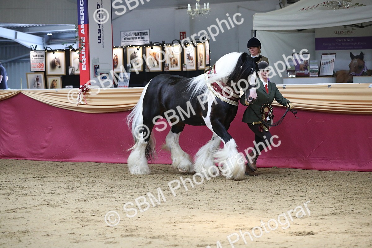 SBM_06609 - Regional IH Champ