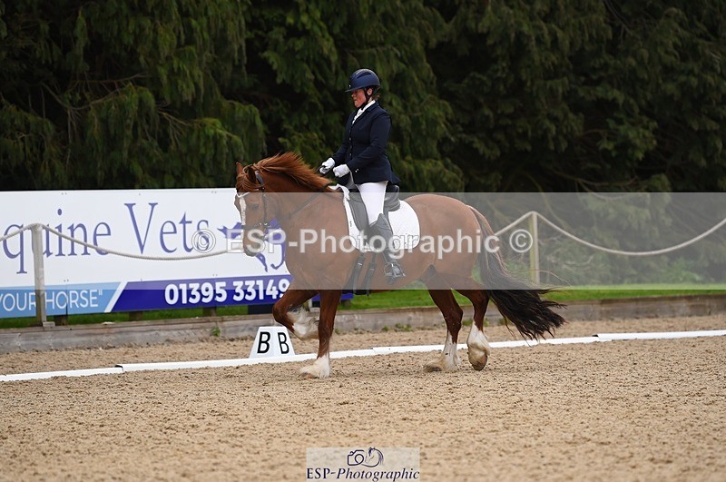 230426-111536-00420 - Cls 4 Novice 38Q Start to 11.30 break
