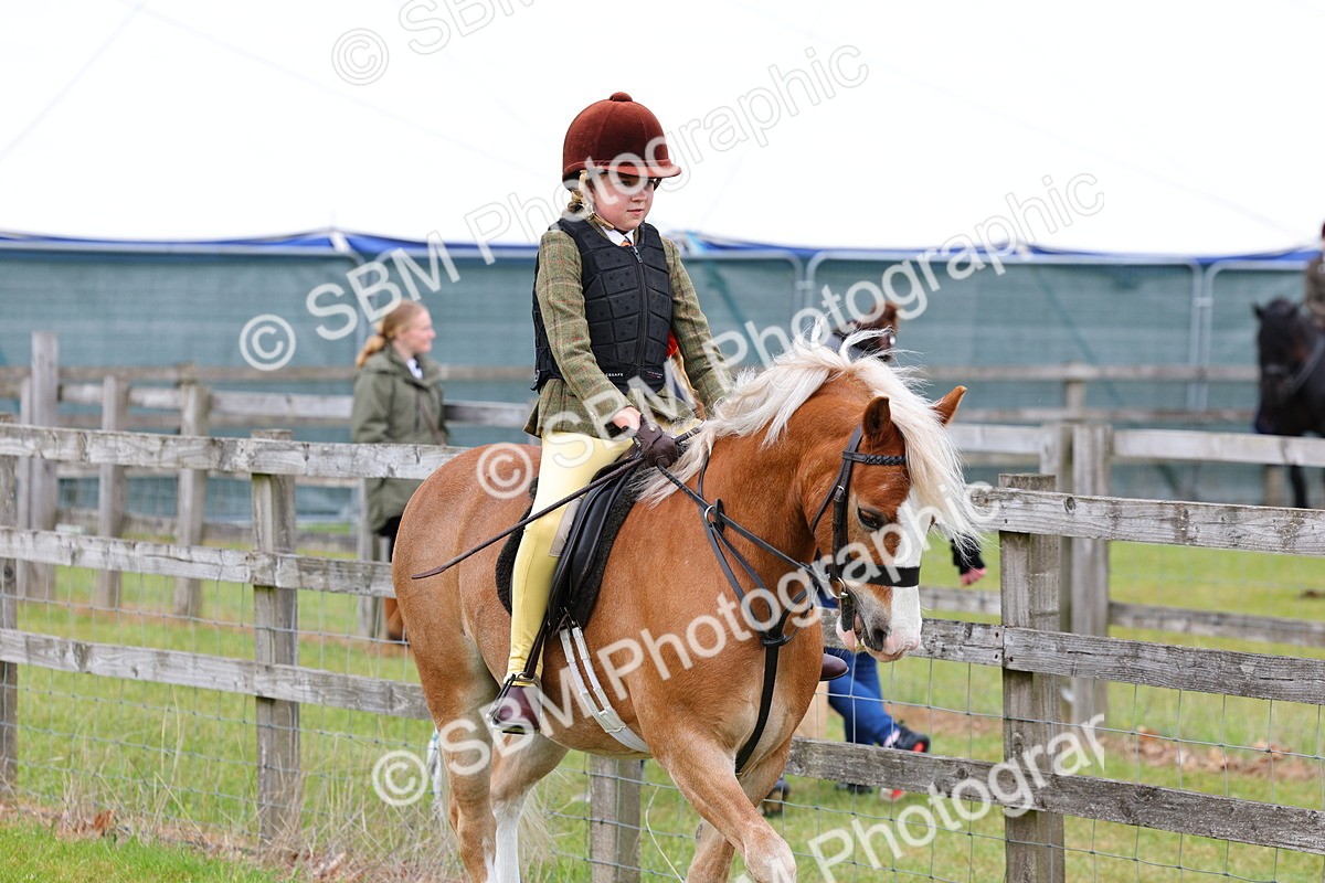 SBM_08462 - Class 42-43 - LIHS BSPS Heritage Working Sports Pony