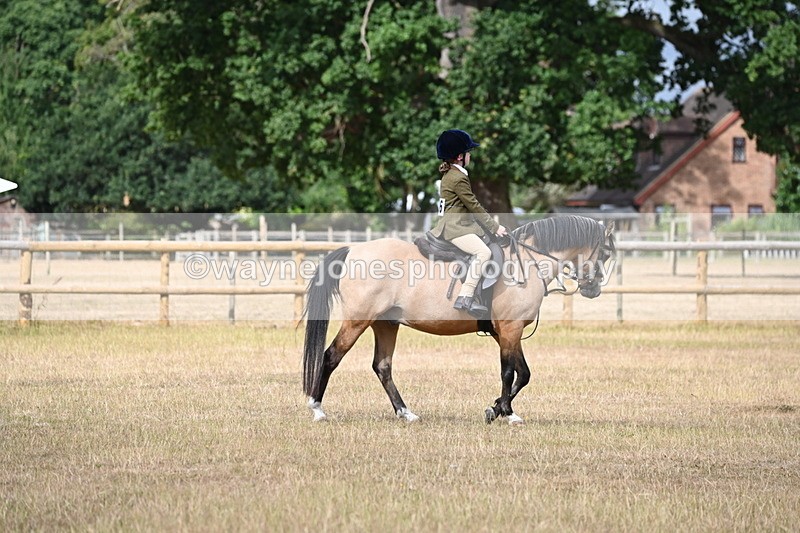 WJ6_7558 - Class 9 Tack and Turnout
