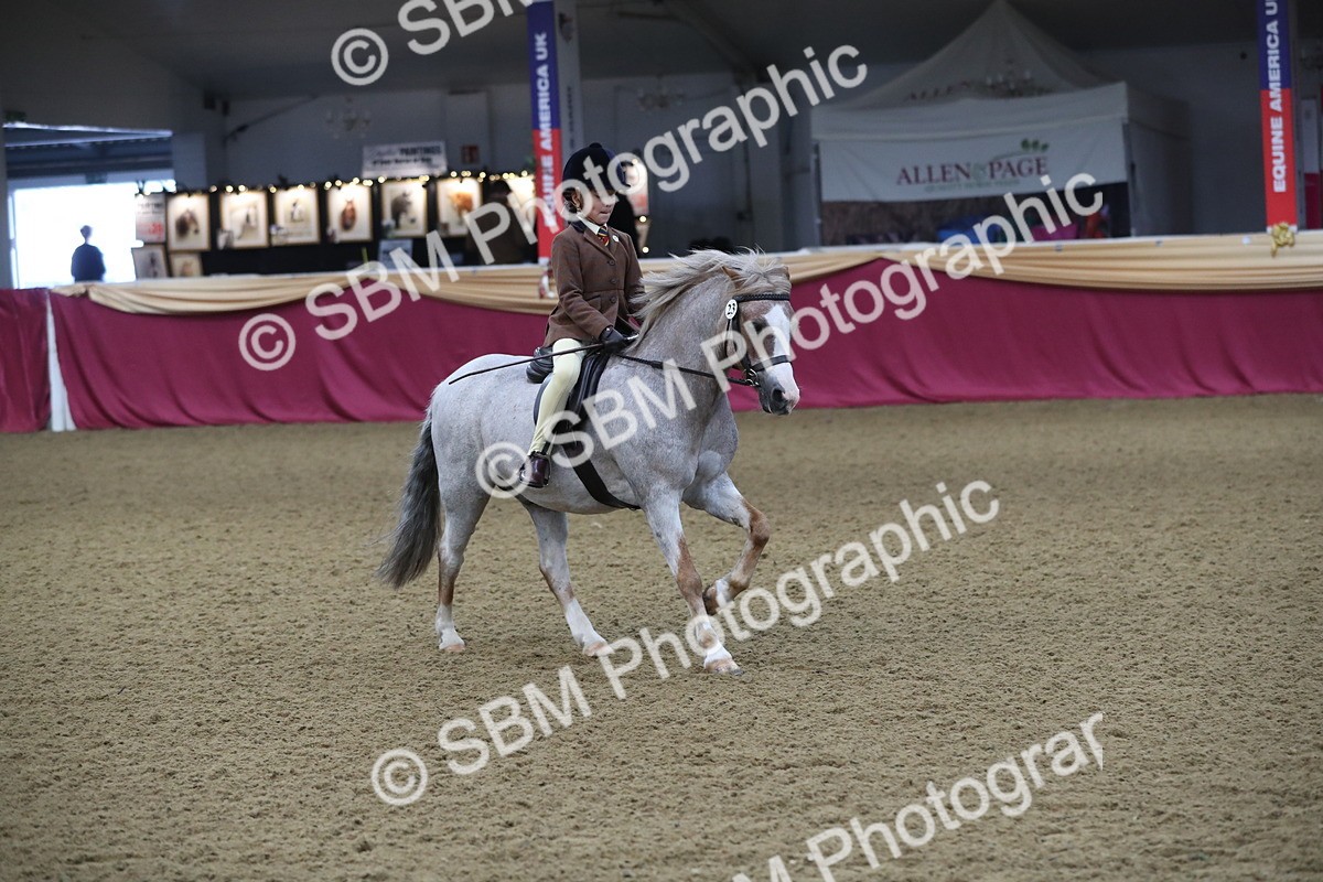 SBM_09348 - Class 101 Equitation (best rider), Junior