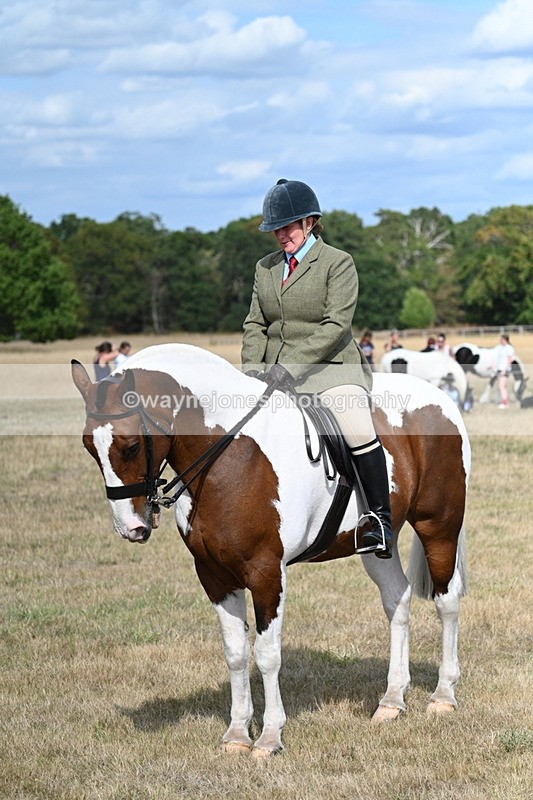 WJ7_7341 - Class 14 Ridden Coloured