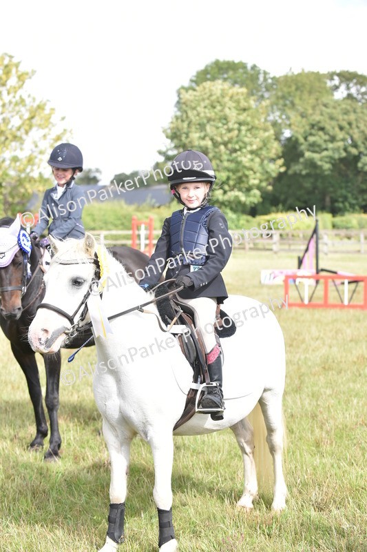 20250831-0505 - Class 7 - Absolute Novice 35cm