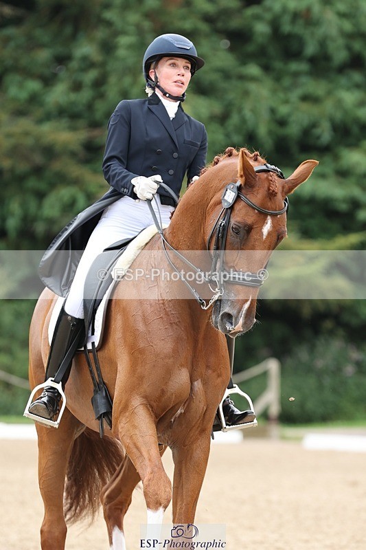 240810-133531-03352 - 188-Amanda.Towle.Shaw-Rockwood.Virtue