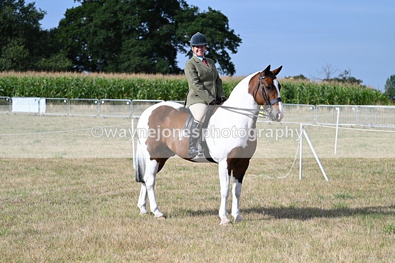 WJ7_2598 - Class 8 Ridden Tack & Turnout