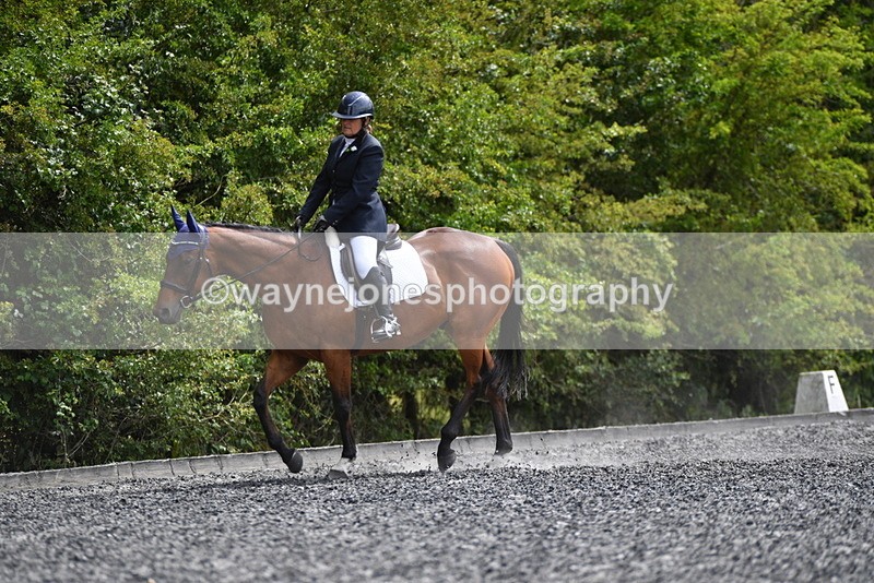 WJ5_1585 - Time 14:20 to 15:01