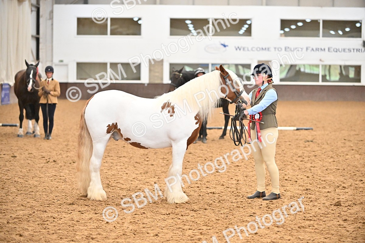 SBM_000781 - Class 16 - In Hand Showing Supreme Championships