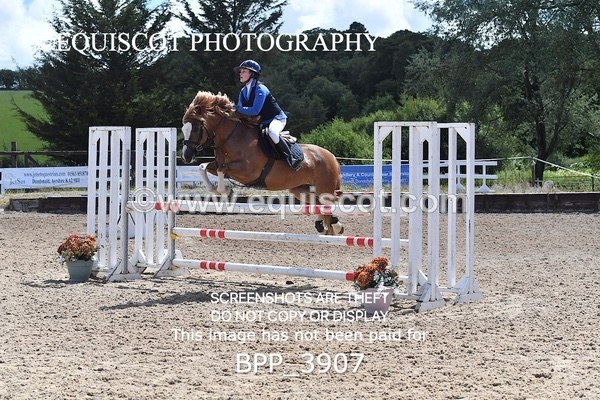 BPP_3907 - CLASS 8 SAT Springboard 128cm/ 138cm Restricted Handicap