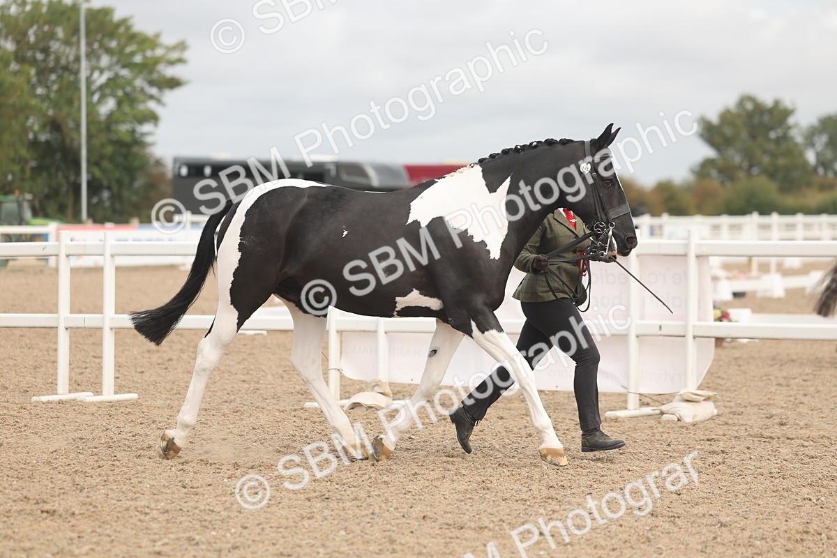 SBM_02148 - Class 15 - IH Coloured